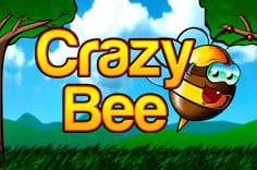 Crazy Bee